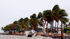 Alerta en puertos de Islas Vírgenes y Puerto Rico por aviso de tormenta tropical
