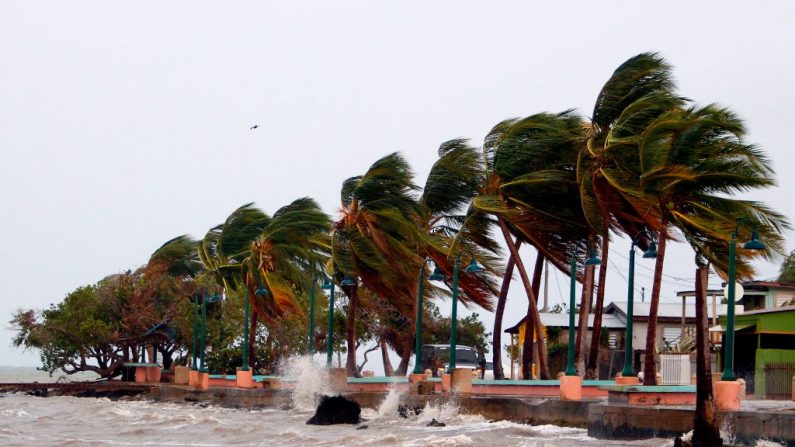 Los vientos azotan la ciudad costera de Fajardo cuando el huracán María se acerca a Puerto Rico, el 19 de septiembre de 2017. 
(RICARDO ARDUENGO/AFP a través de Getty Images)