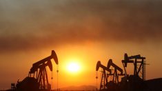 Cae precio del petróleo, pero sube expectativa para que la OPEP disminuya los recortes de producción