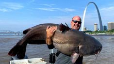“Atrapé un monstruo”, dijo pescador de St. Louis mientras se tambalea con enorme bagre en río Misisipi