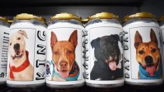 Dueña encuentra su perro perdido en un mensaje de lata de cerveza 3 años después de que desapareciera