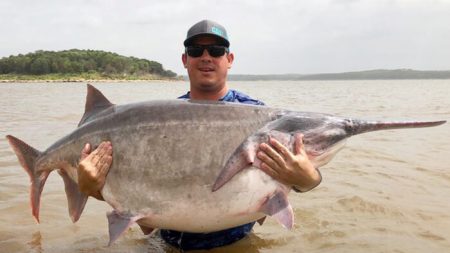 Pescador de Oklahoma atrapa pez espátula batiendo récord mundial, pesa 146.7 libras
