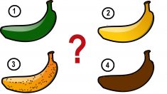 ¿Qué tipo de banana es más saludable? En diferentes etapas de maduración las bananas tienen diferentes beneficios