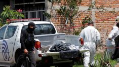 Encuentran 70 bolsas con restos humanos en oeste de México