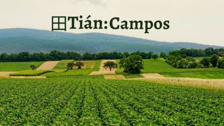 田 Tián: el carácter chino que representa al campo y a la tierra cultivada