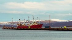 Oposición de Argentina presentará denuncia penal por puerto chino en Tierra del Fuego