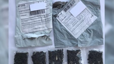 Residentes de varios estados de EE. UU. reciben misteriosos paquetes de semillas de China