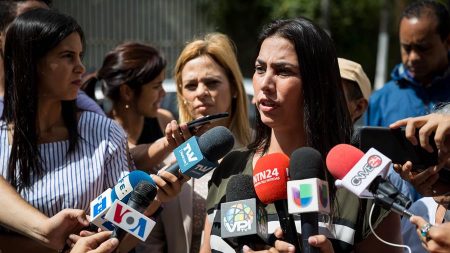 El Parlamento venezolano creará un observatorio de derechos humanos