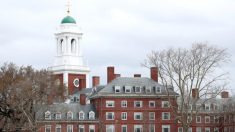 Harvard mantendrá todo el año escolar en línea, la matrícula permanece sin cambios