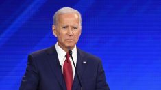 Biden anunciará su candidata a vicepresidente en la primera semana de agosto