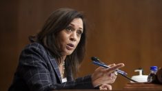 Trump dice que Kamala Harris sería una buena elección para ser la compañera de fórmula de Biden