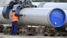 «Salgan ahora»: EE.UU. advierte a empresas que sancionará a quienes apoyen nuevos gasoductos de Rusia