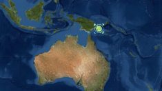 Terremoto de magnitud 7.1 sacude a Papúa Nueva Guinea
