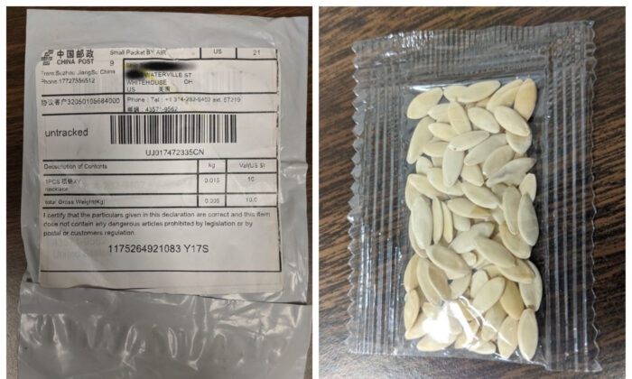Paquetes con semillas que parecen haber sido enviadas desde China. (Whitehouse Departamento de Policía de Ohio)