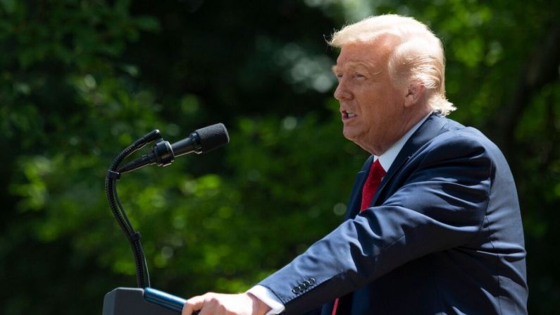 El presidente Donald Trump habla en el Rose Garden en la Casa Blanca en Washington, el 9 de julio de 2020. (Jim Watson/AFP a través de Getty Images)