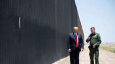 Trump: Muro fronterizo de financiación privada fue “hecho para hacerme quedar mal”