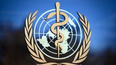 “Momento para la autorreflexión”: OMS forma panel para evaluar respuesta mundial a pandemia de COVID-19