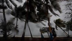 El número de muertos en Haití por la tormenta Laura sube a 21