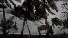 La tormenta Laura va a Cuba con vientos más fuertes y el huracán Marco se acerca a EEUU