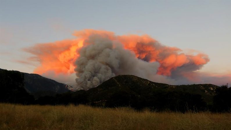 Vista del incendio conocido como 'Apple Fire' en el contado de Riverside, California (EE.UU.), el 1 de agosto de 2020. EFE/David Swanson