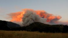 Casi 8000 evacuados debido a un incendio forestal cerca de Los Ángeles