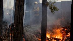 Los evacuados por los incendios de California empiezan a regresar a sus casas