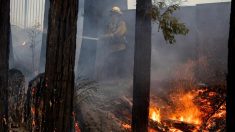 Siguen los avances contra el fuego en California, donde hay dos desparecidos