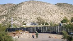 Muere migrante mexicano tras caer del muro fronterizo en Arizona