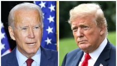 Trump y Biden están empatados en 4 estados disputados, según una nueva encuesta