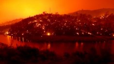 3 familiares mueren en incendio forestal en California, hijo sobreviviente dice que atiendan evacuaciones