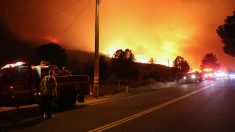 Bomberos de California salvan bandera estadounidense en medio del devastador incendio “Lake Fire”