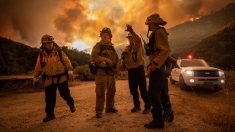Incendios consumen 190 kilómetros cuadrados cerca zona vinícola de California