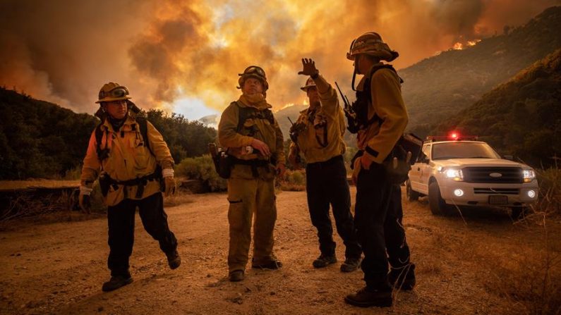 Los bomberos hacen un plan de escape mientras el fuego quema una ladera en el lago Hughes, California, EE.UU. EFE/EPA/CHRISTIAN MONTERROSA/Archivo
