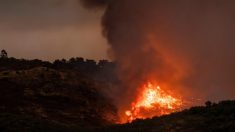 Más de 2000 evacuados por los incendios forestales en España