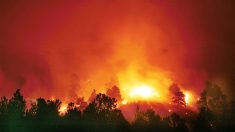 Histórico incendio forestal amenaza a miles de latinos en oeste de Colorado