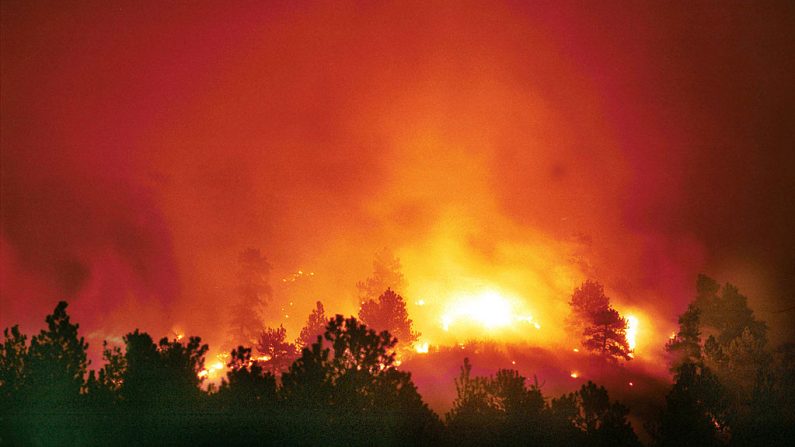 El fuego de Hayman arde en la ladera de una montaña el 14 de junio de 2002 al norte del lago George, Colorado (EE.UU.). (Foto de archivo de Tom Cooper/Getty Images)
