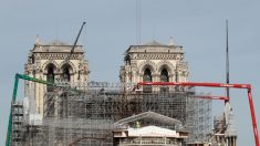 Empieza el desmontaje del gran órgano de Notre Dame para su restauración