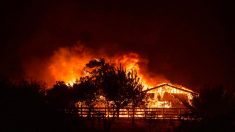 California declara estado de emergencia por más de 30 incendios