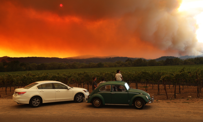 Varios residentes locales descansan junto a un viñedo mientras observan el incendio del LNU Lightning Complex en las colinas cercanas el 20 de agosto de 2020 en Healdsburg, California. (Justin Sullivan/Getty Images)