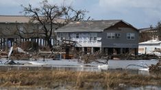El ciclón Laura causa daños millonarios en EE.UU. y el Caribe