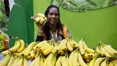 Los plátanos pueden ayudar a prevenir fracturas, dolores y molestias en los huesos