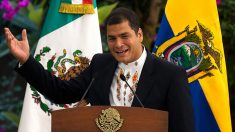 Designan a Rafael Correa como candidato a vicepresidente de Ecuador