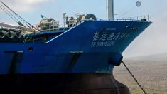 Pompeo: Los informes de barcos chinos en Galápagos son “profundamente preocupantes”