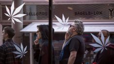 Ciudades del Condado de Orange estudian impuesto al cannabis para atajar déficits presupuestarios