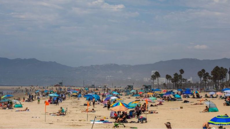 La gente disfruta de la playa en medio de la severa ola de calor en Venecia, California, el 15 de agosto de 2020. (Apu Gomes/AFP vía Getty Images)