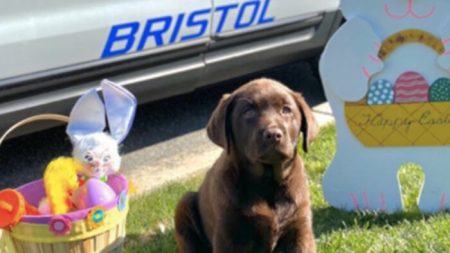 Cachorro K-9 se une a la policía y toma una siesta en escritorio del jefe en ceremonia de juramento