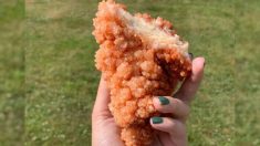 Fabricante de joyas se vuelve viral con un extraño cristal que parece un enorme trozo de pollo frito