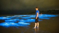«Chispa del mar»: increíble bioluminiscencia ilumina las olas en una playa de Irlanda