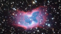 Astrónomos capturan foto de una «mariposa espacial» a miles de años luz de distancia