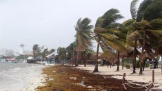Depresión Trece se convierte en la tormenta tropical Laura